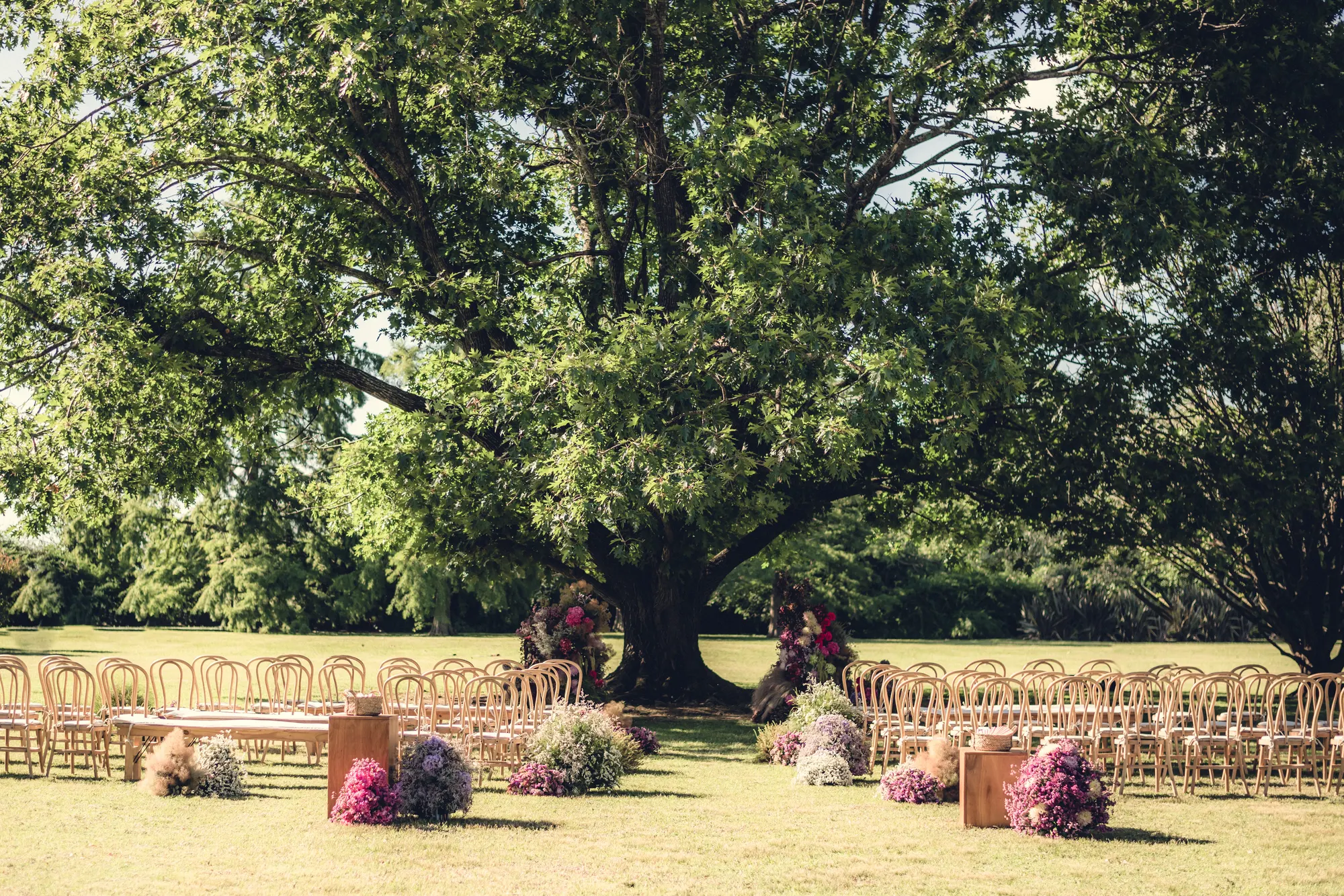 Outdoor reception setting framed by mature trees